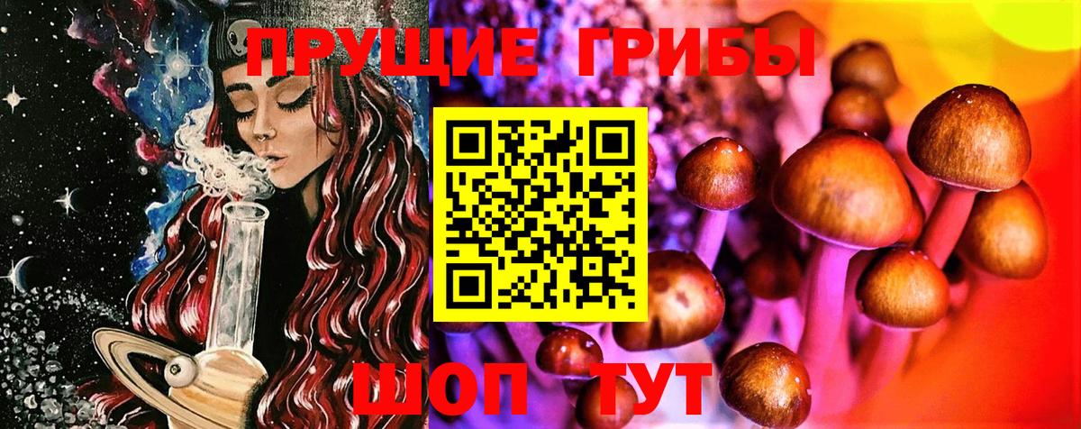 Галлюциногенные грибы прущие грибы Минеральные Воды