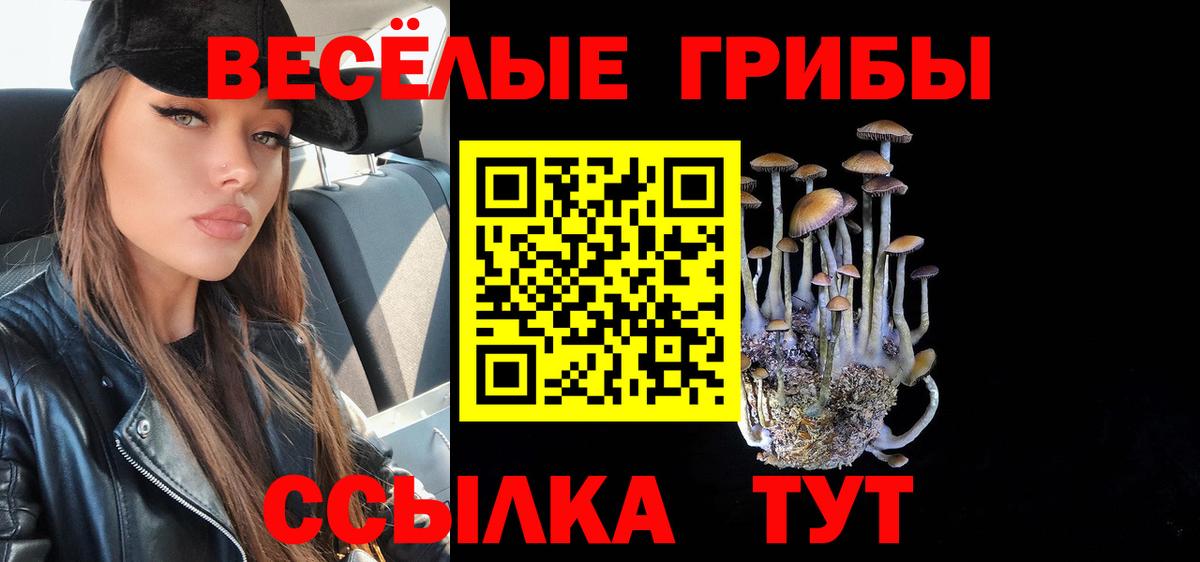 Галлюциногенные грибы MAGIC MUSHROOMS  Псилоцибиновые грибы мицелий  Вход с VPN  Минеральные Воды 